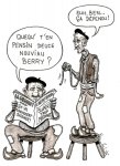 17. Berry dépendu