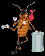 Faux départ pour la Cigale