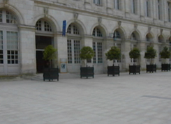 Le petit cachotier