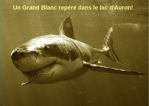 Les berruyers sont les rois...
